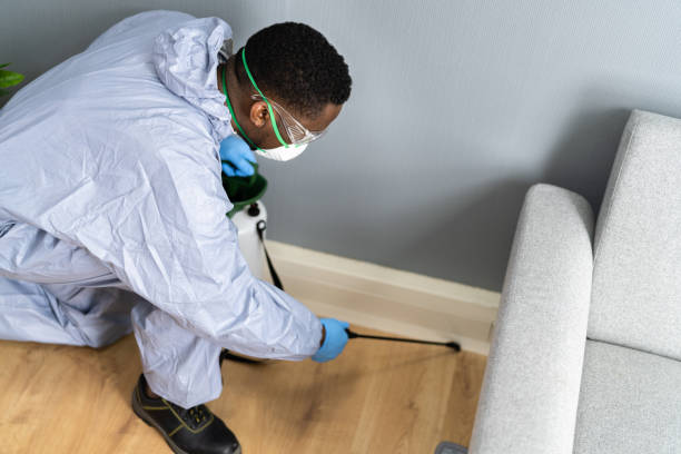 Best Termite Inspection and Treatment  in Coal Grove, OH